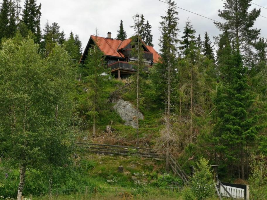 Casa San Gottardo - The Forest House, Etnedal Exteriér fotografie